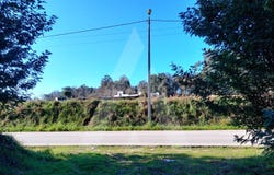 Alquerubim, Aveiro District