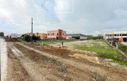 Anadia, Aveiro District