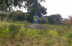 Arruda Dos Vinhos, Lisbon 2630