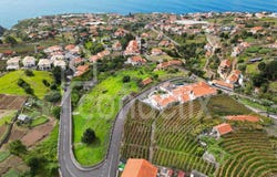 Estreito Da Calheta, Madeira 9370