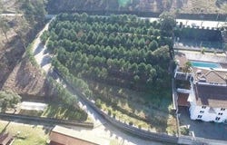 Tondela, Viseu 3465-121