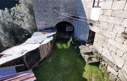 Ribas, Braga Municipality 4890