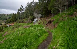 Santo António da Serra, Santa Cruz, Madeira 9100-255