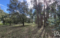 Leiria, Leiria District