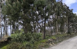 Apúlia e Fão, Braga