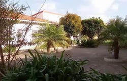 Peniche, Leiria