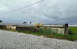 ESTELA, Porto District