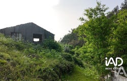 Leiria, Leiria District
