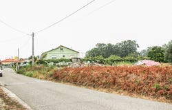 Carriço, Leiria District