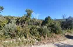 Malhou, Louriceira e Espinheiro, Alcanena, Santarém District 2380
