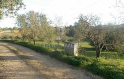 Porches, Lagoa (Algarve), Algarve