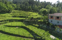 Salamonde, Braga