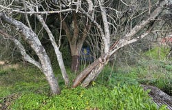 Rio Maior, Santarém District