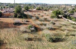 Silves, Faro 8365-306