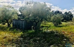 Palmela, Setúbal 2950-064