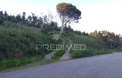 Sande Vila Nova e Sande São Clemente, Guimarães, Braga 4805