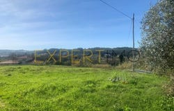 Leiria, Leiria