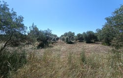 Campo Maior, Portalegre District