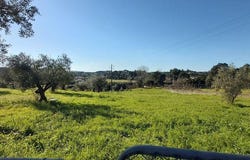 Santarém, Santarém District
