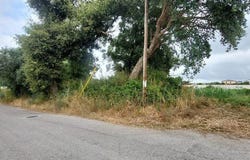 Leiria, Leiria District