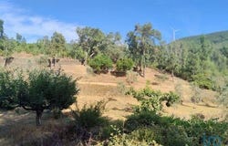 Sertã, Castelo Branco 6100-514