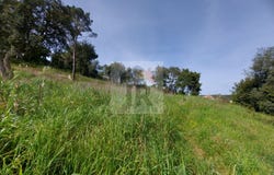 Caldas da Rainha, Leiria District