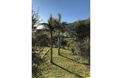 União das Freguesias de Setúbal, Setubal