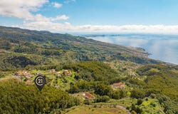 Ilha da Madeira, Madeira