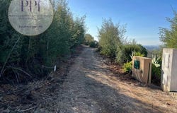 Monchique, Faro 8550-000