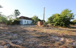 Pinhal Novo, Setúbal 2955