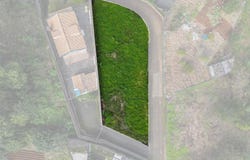 Sao Jorge, Madeira 9230