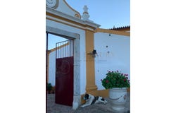 Assuno, Portalegre District