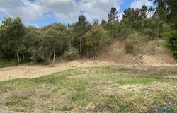 Leiria, Leiria 2415-313
