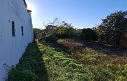 Ílhavo, Aveiro District