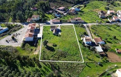Vila de Rei, Castelo Branco District