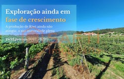 Chorente, Braga