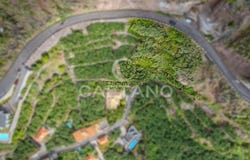 Calheta, Madeira 9370