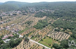Leiria, Leiria District