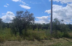 Campo Maior, Portalegre District