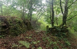 Amares, Braga