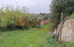 Almoster, Santarém District