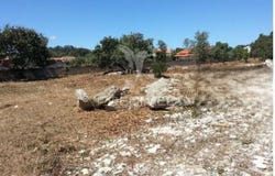 Turquel, Alcobaça, Leiria District 2460