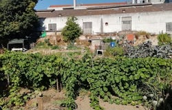 União das Freguesias de Setúbal, Setubal