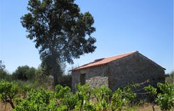 Castelo Branco, Castelo Branco District 6000