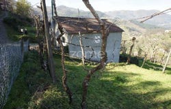 Ribeira de Pena, Vila Real District