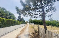 Lisboa, Lisbon