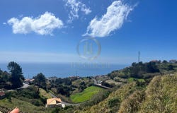 Canhas, Madeira 9360
