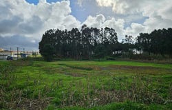 Atouguia da Baleia, Leiria District