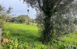 Aveiro, Aveiro District