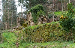 Tarouquela, Viseu District